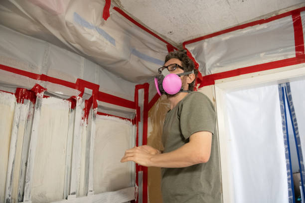 Best Mold Remediation for Healthcare Facilities  in Lake Odessa, MI