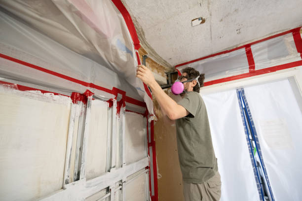 Reliable Lake Odessa, MI Mold Removal Solutions