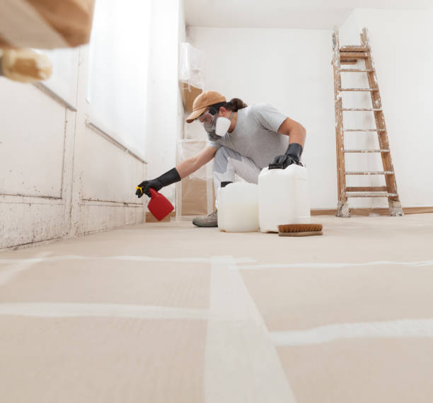Reliable Lake Odessa, MI Mold Removal Solutions