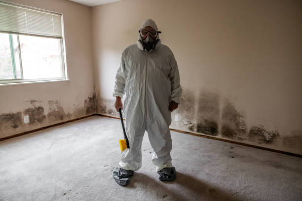 Best Commercial Mold Inspection  in Lake Odessa, MI